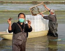 波特兰湖虾单射，轻取热爵的伊蒂霍格森