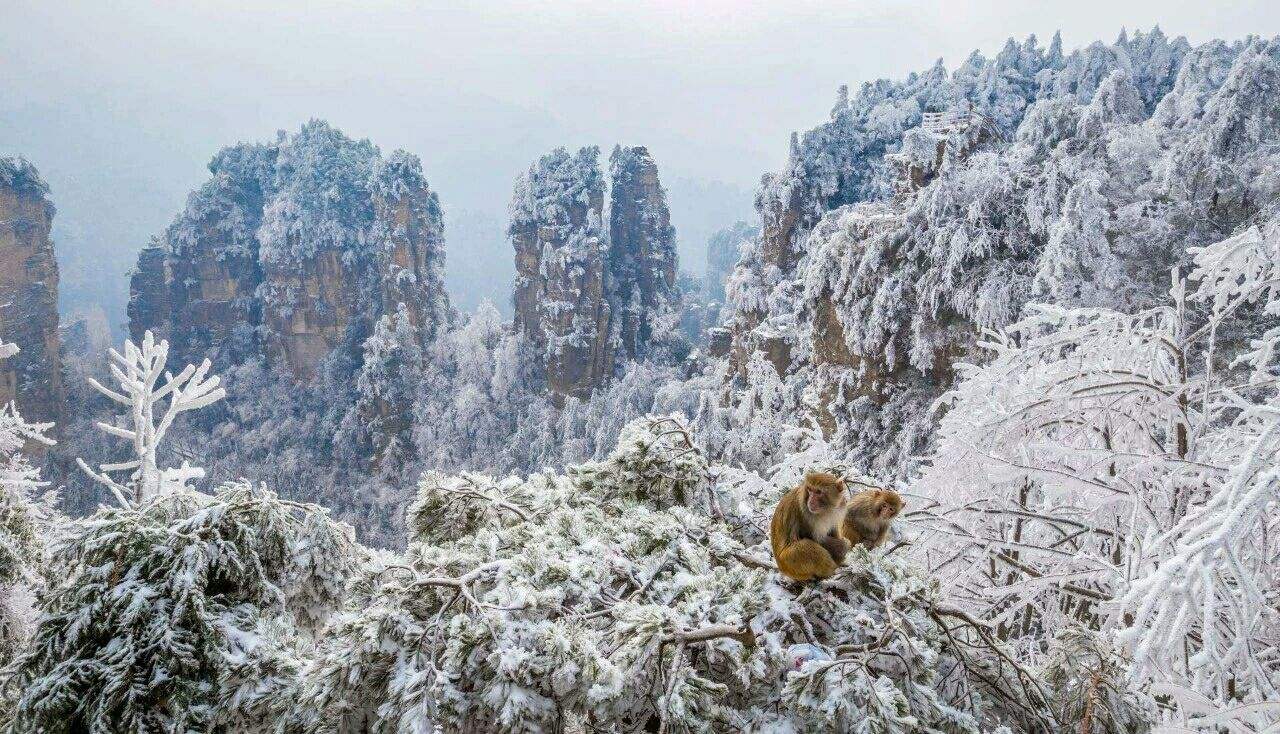 比赛激昂肆虐，战绩凛冽跌惊硕成